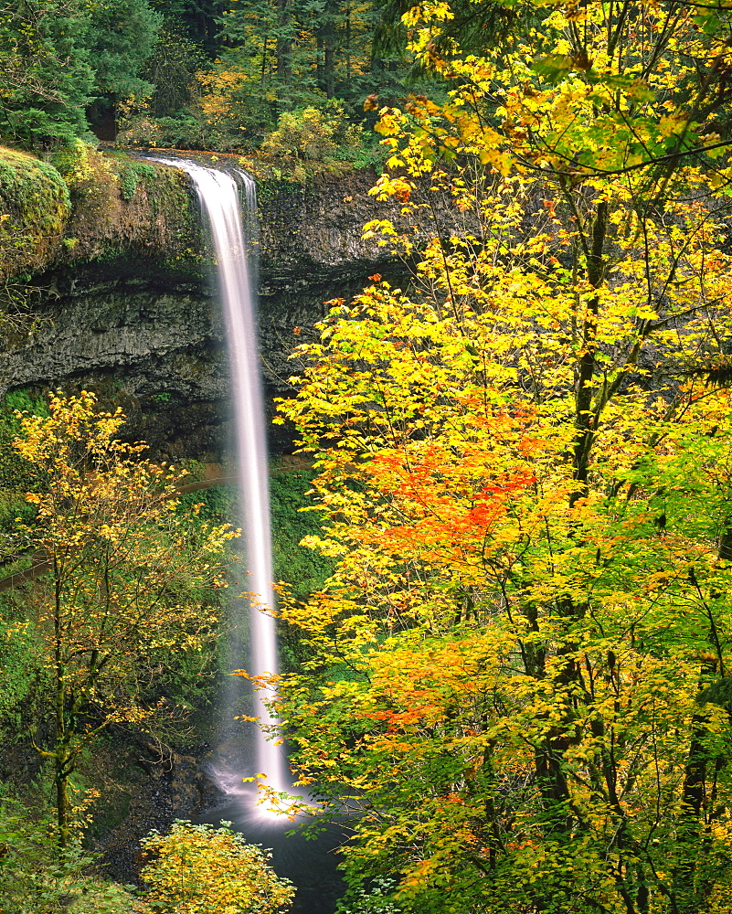 USA, Oregon, Silver Falls