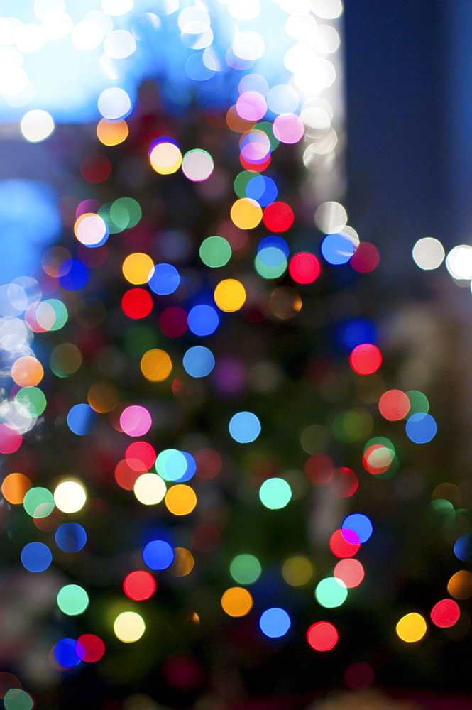 Christmas lights