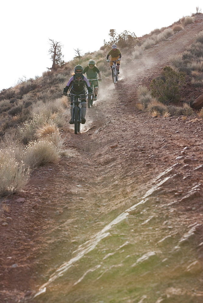 Downhill mountain bikers