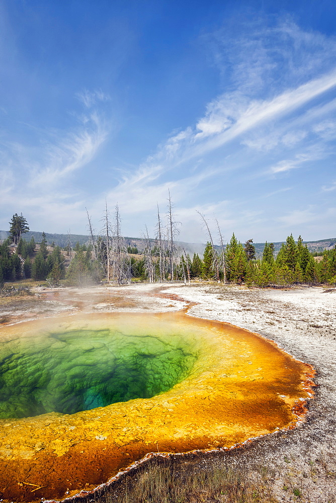 Morning Glory Pool in Upper Geyser Basin, Yellowstone National Park, Wyoming