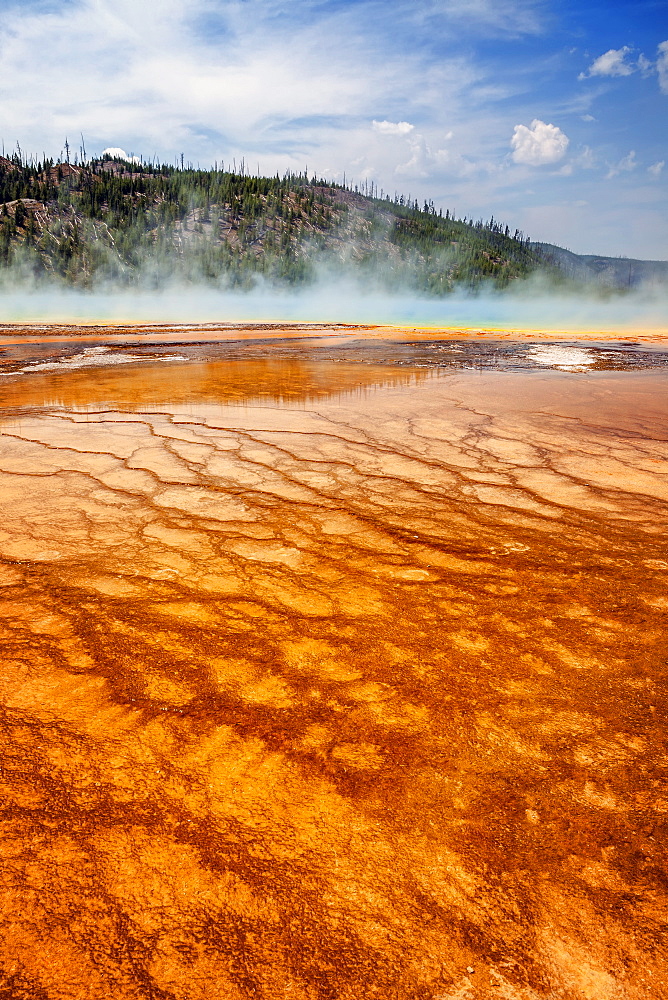 Colorful bacteria mat surrounding Grand Prismatic Spring, Midway Geyser Basin, Yellowstone National Park, Wyoming