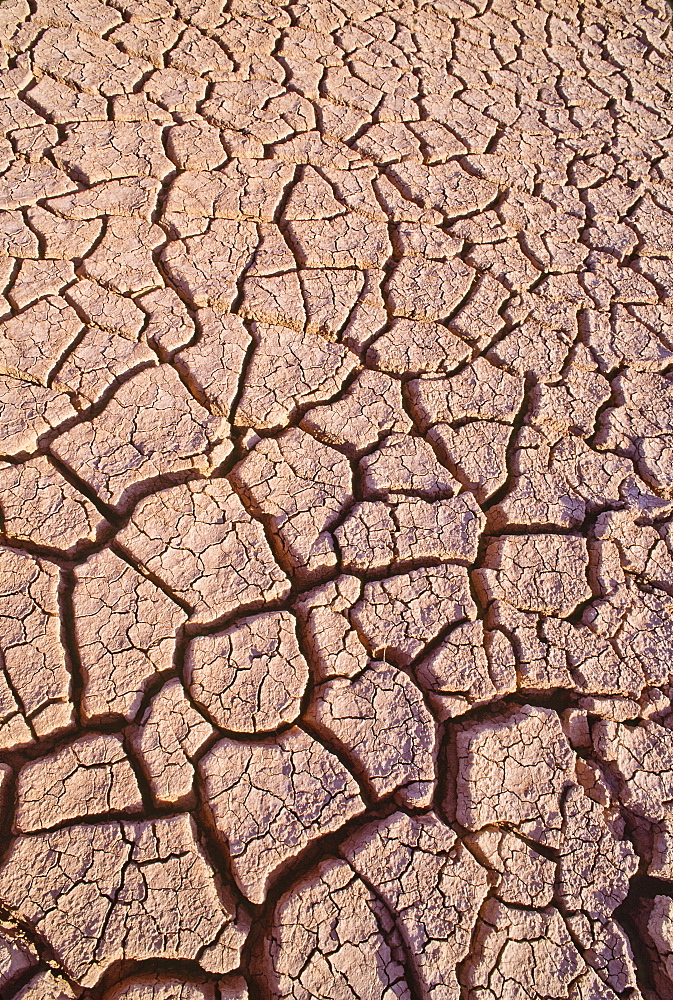 Mexico, Baja California, Dry lake bed