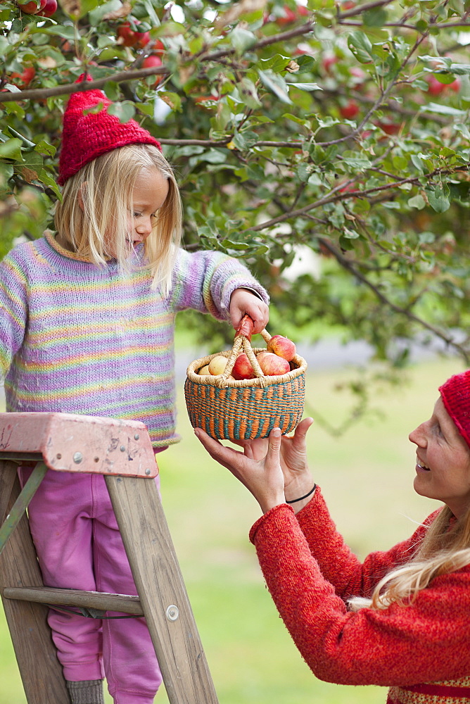 Mother and daughter picking up apples