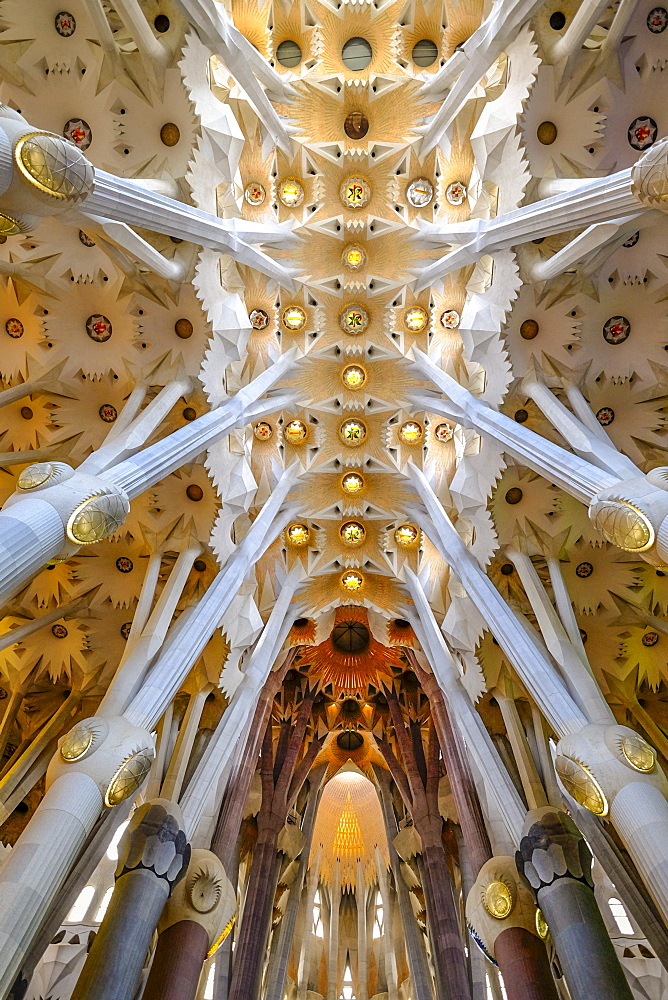 Sagrada Familia church interior, Barcelona, Spain