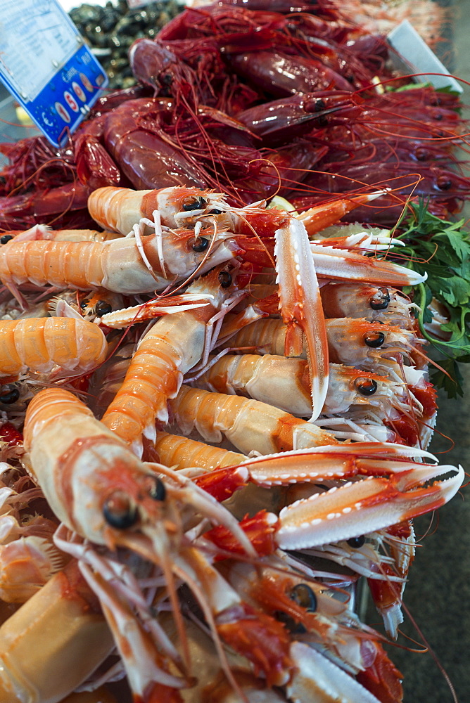 Close up of langoustines, Cadiz, Spain