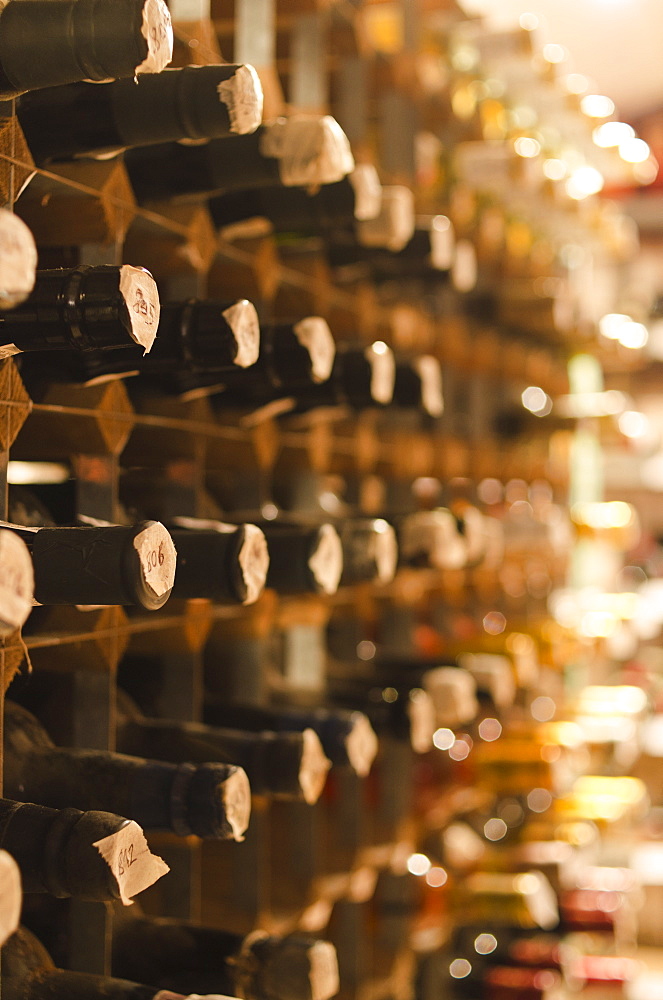 Old wine bottles on cellar shelves