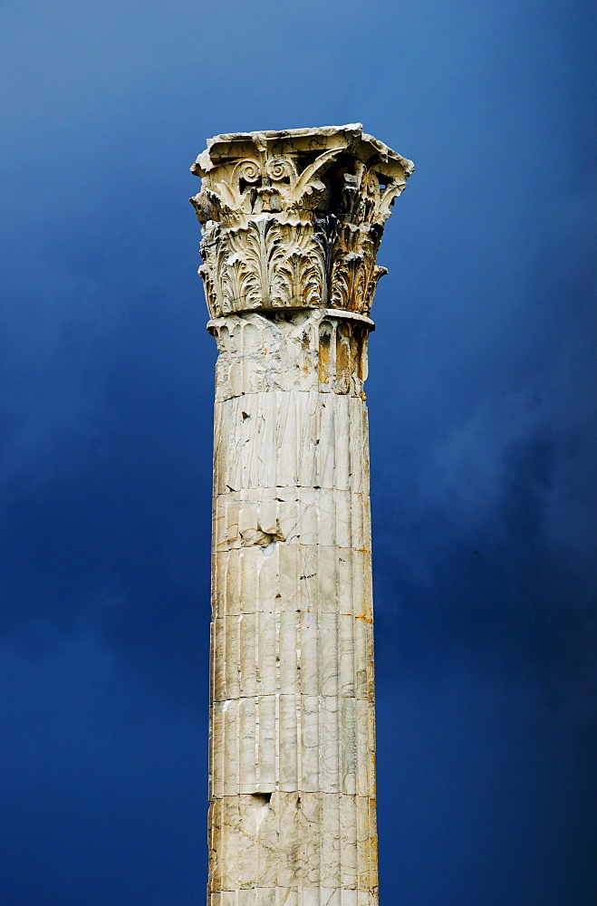 Greece, Athens, Corinthian column at Temple of Olympian Zeus