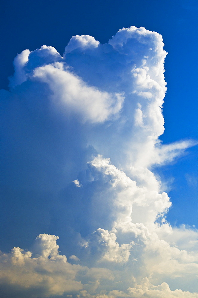 Fluffy white clouds