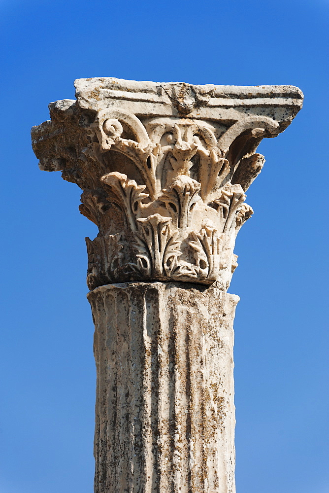 Turkey, Ephesus, Corinthian column