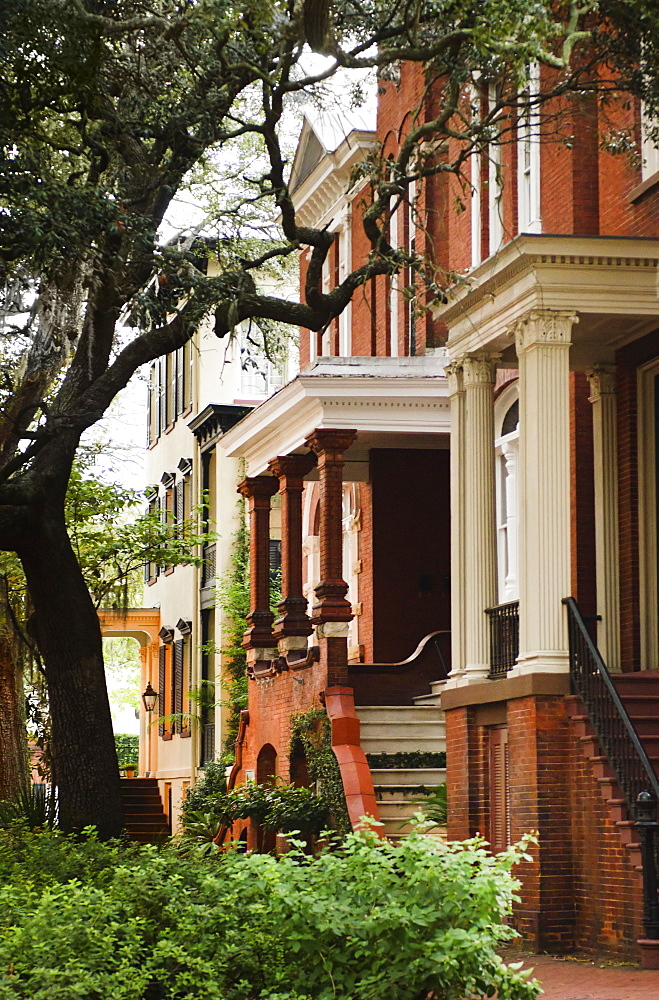 USA, Georgia, Savannah, Houses in residential district