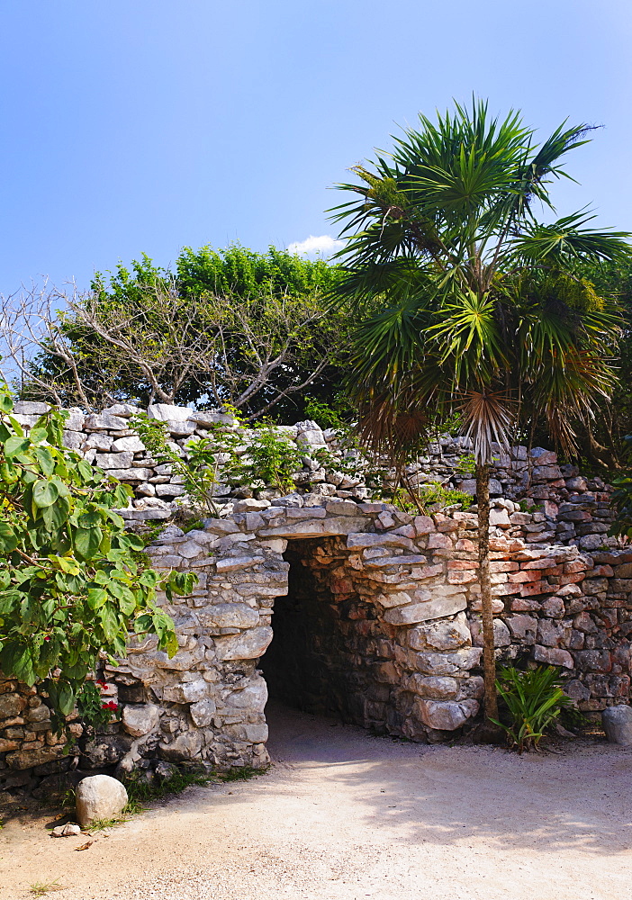 Ancient Mayan ruins