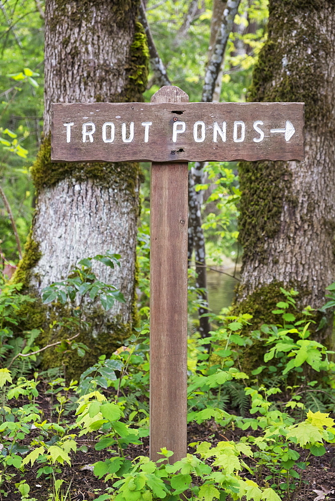 Sign directing to ponds at Bonneville Dam, Bonneville Dam, Oregon