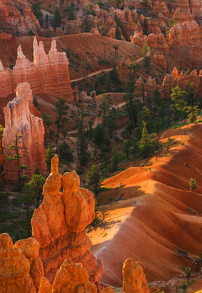 Bryce Amphitheater, USA, Utah, Bryce Canyon
