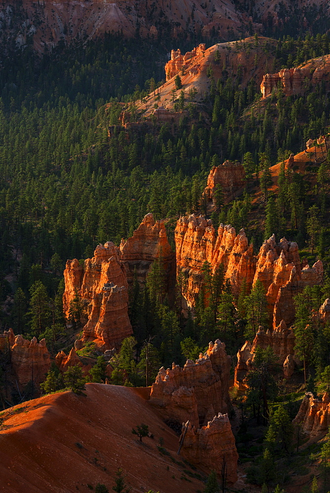 Bryce Amphitheater, USA, Utah, Bryce Canyon