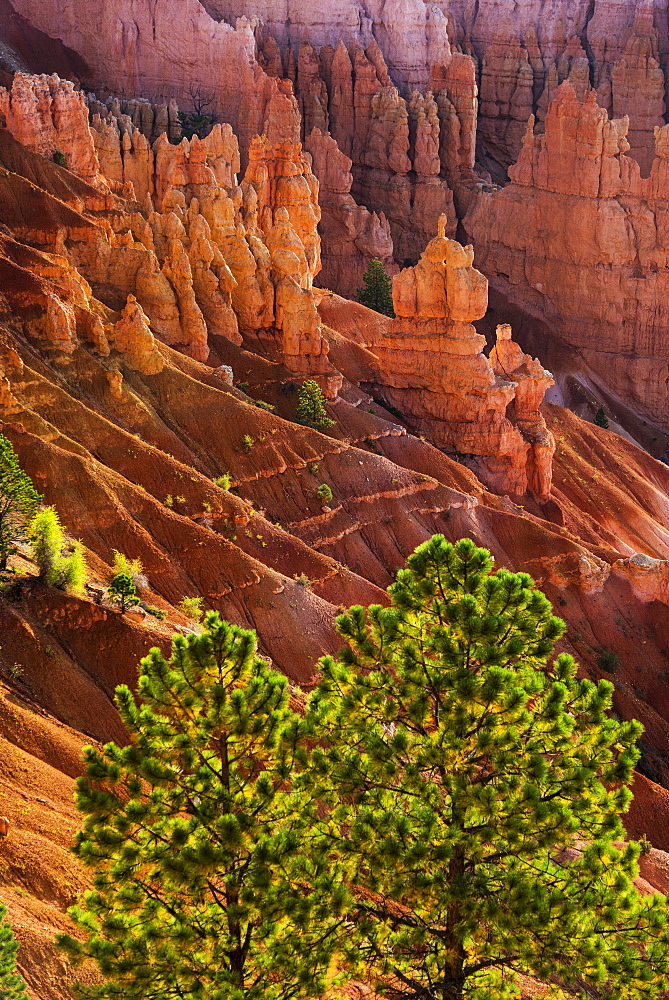 Bryce Amphitheater, USA, Utah, Bryce Canyon