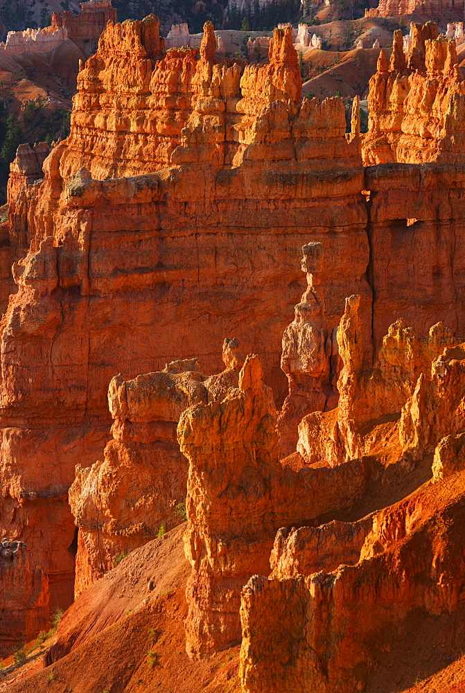 Bryce Amphitheater, USA, Utah, Bryce Canyon