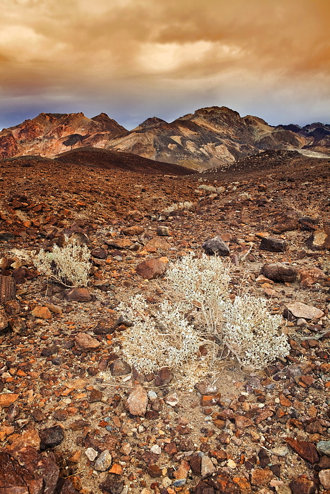 USA, California, Death Valley, barren landscape, USA, California, Death Valley