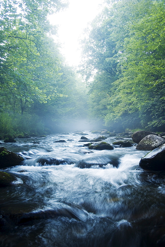 Smoky Mountain National Park USA