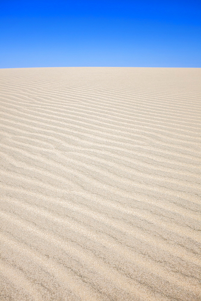 Oregon, Florence, Rippled sand dune