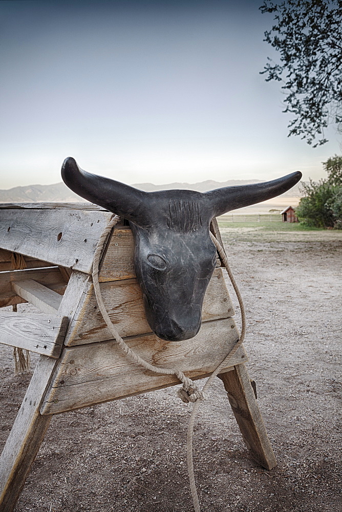 Lasso and rack with bull head, Antelope Island, Utah