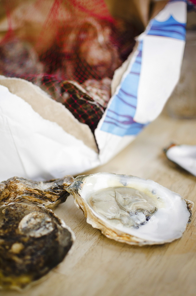 Raw oysters