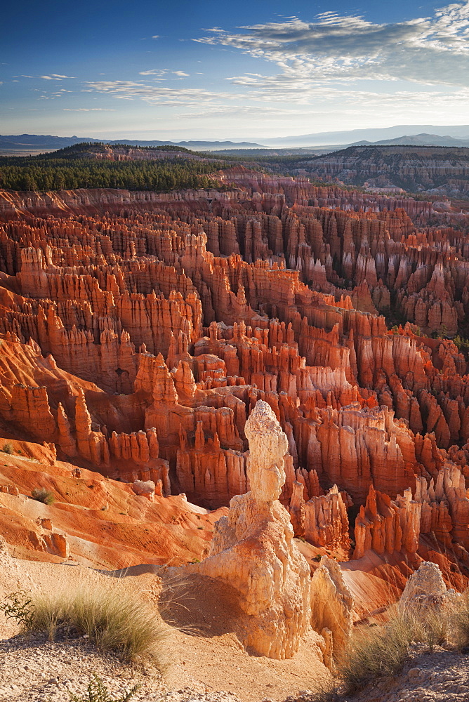 Sandstone formations, Bryce Canyon National Park, Utah