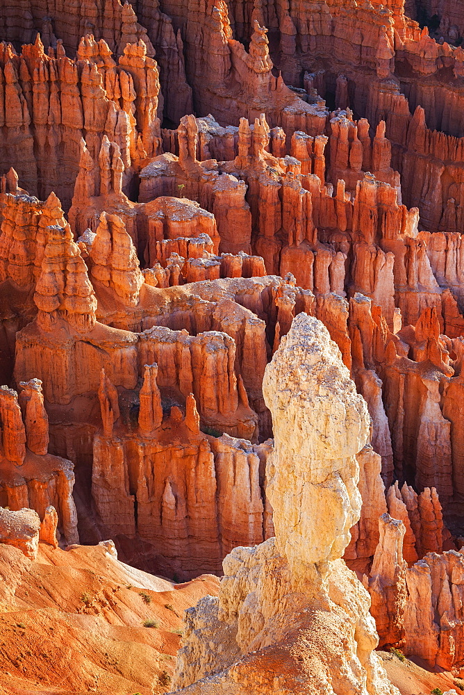 Sandstone formations, Bryce Canyon National Park, Utah