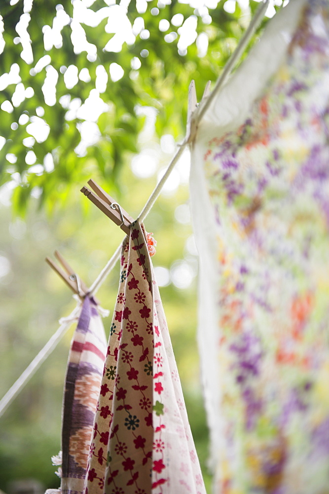 Laundry hanging on garden rope