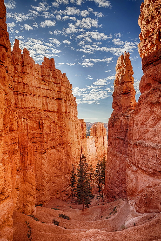 Navajo Trail, Navajo Trail in Bryce Canyon National Park, Utah