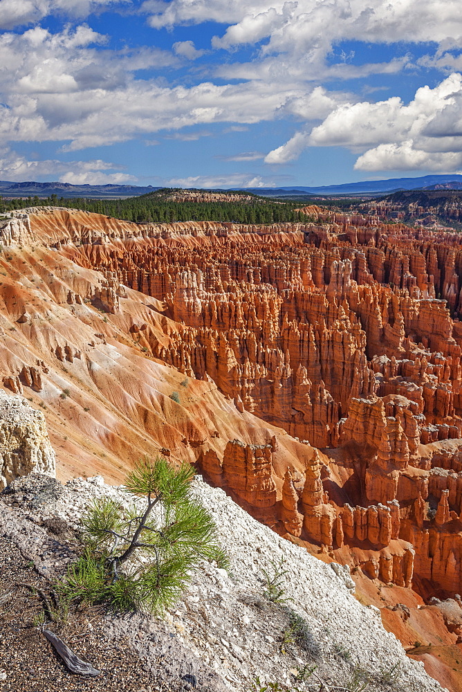 Sandstone formations, Bryce Canyon National Park, Utah