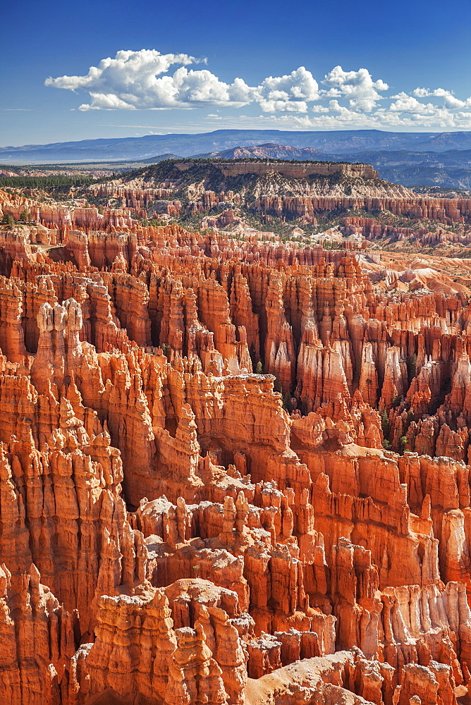 Sandstone formations, Bryce Canyon National Park, Utah