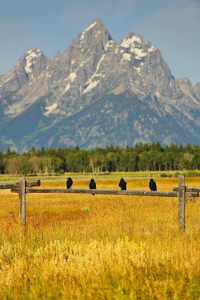 Scenic view of mountains