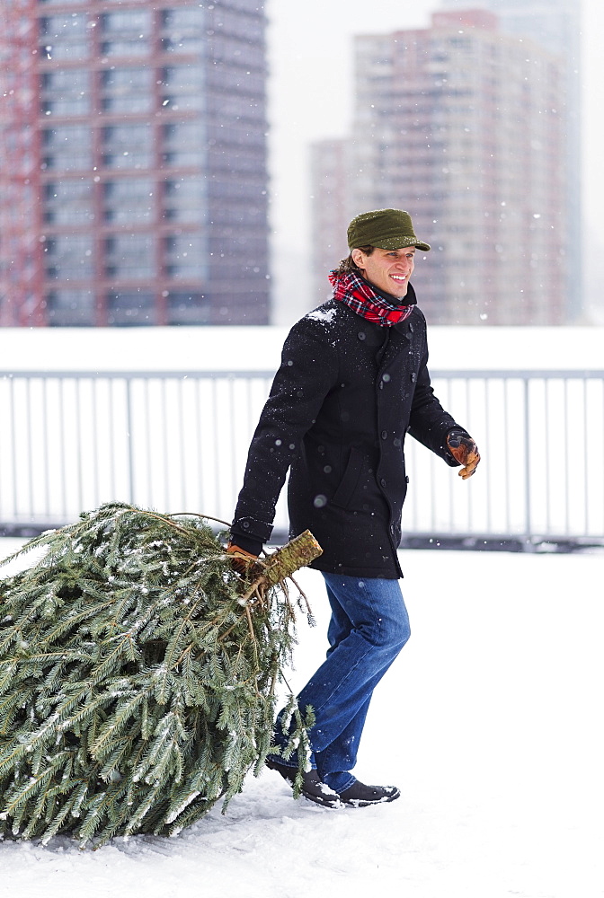 Man carrying Christmas tree