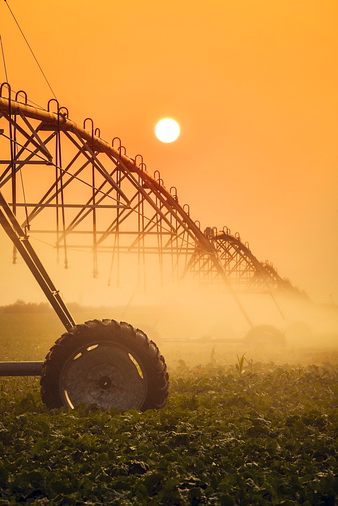 Silhouette of irrigation system with sun setting in the background, Alliance, Nebraska