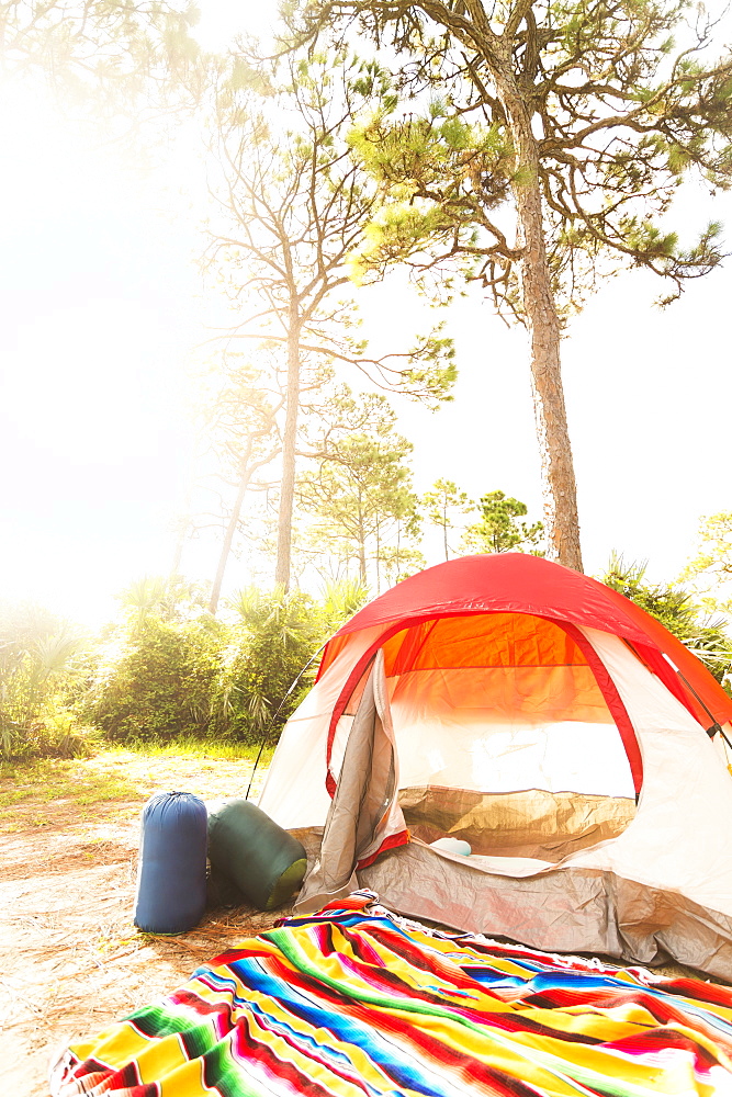 Sleeping bags in front of tent, Tequesta, Florida