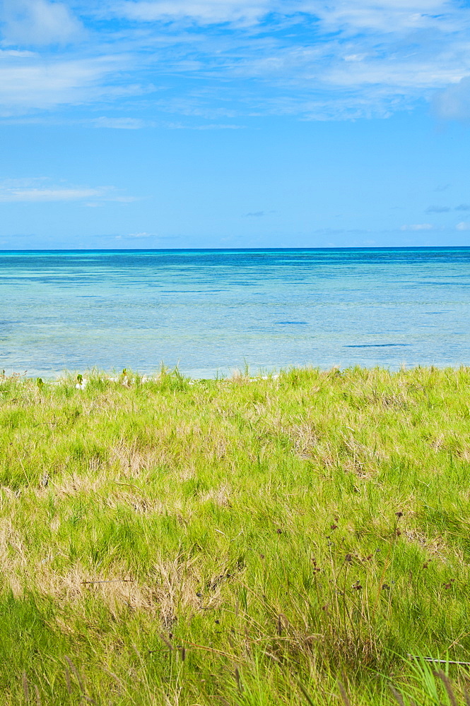 Aruba, grassy beach and sea