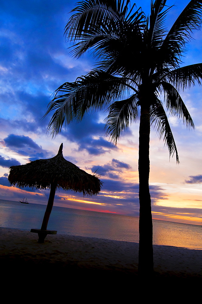 Aruba, silhouette of palm tree and palapa on beach at sunset