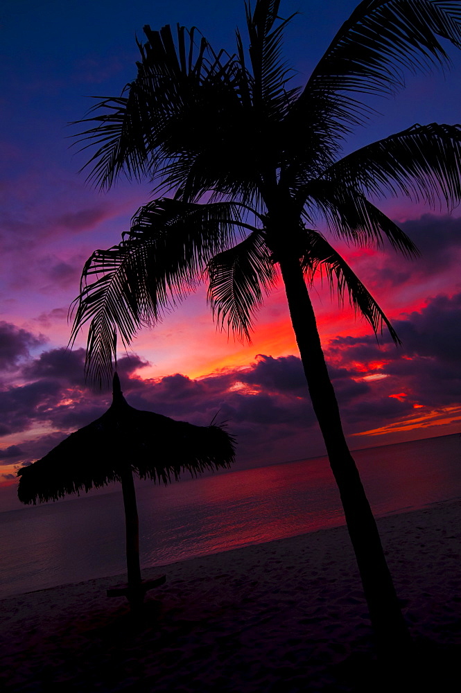 Aruba, silhouette of palm tree and palapa on beach at sunset