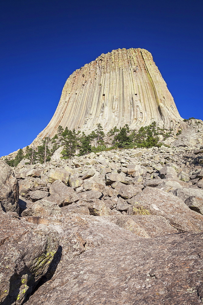 Devil's Tower National Monument against blue sky, Devil's Tower National Monument, Wyoming