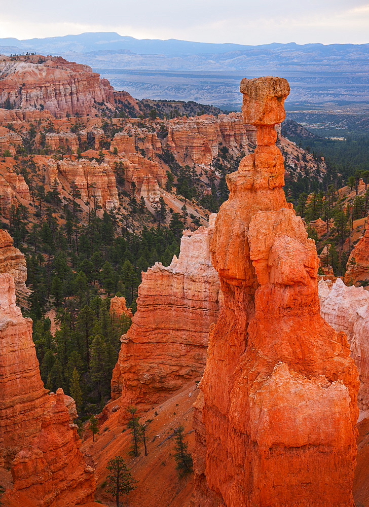 Landscape with cliff, Bryce Canyon, Utah