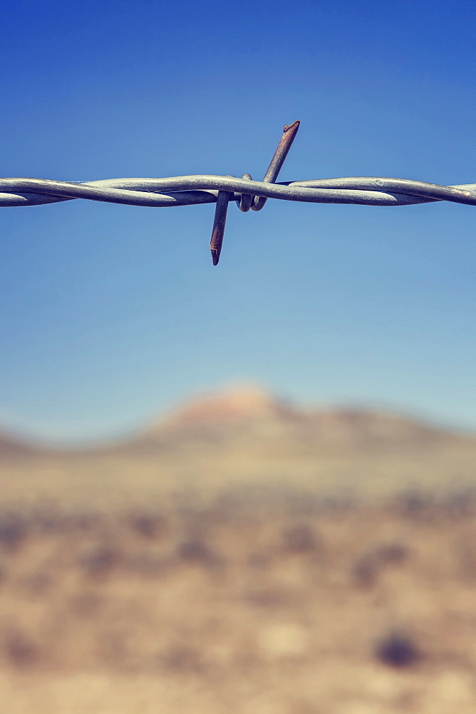 Close-up of barbed wire, Buffalo, Wyoming