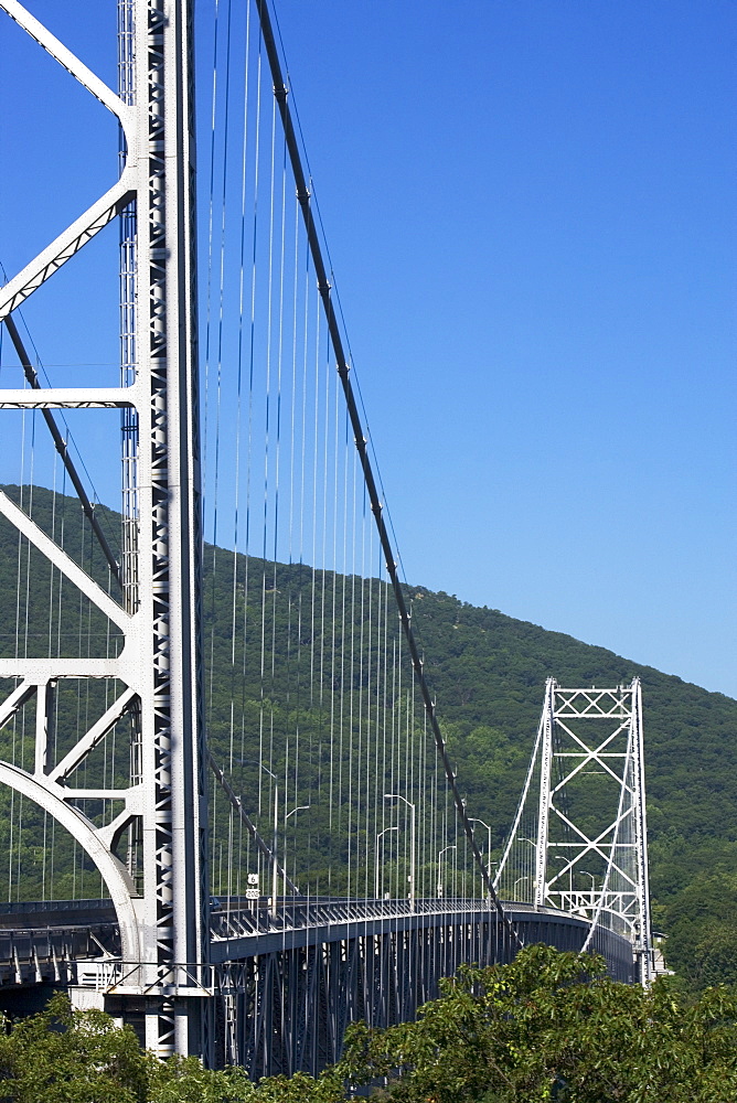 Cable bridge surrounded by trees