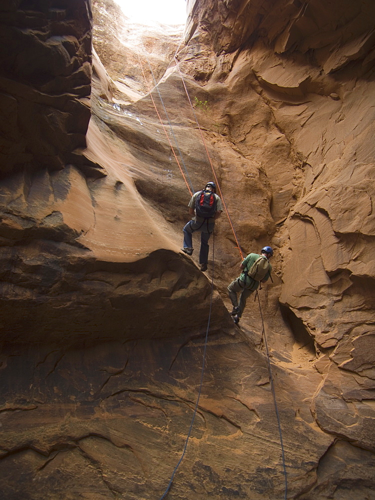 People canyon rappelling