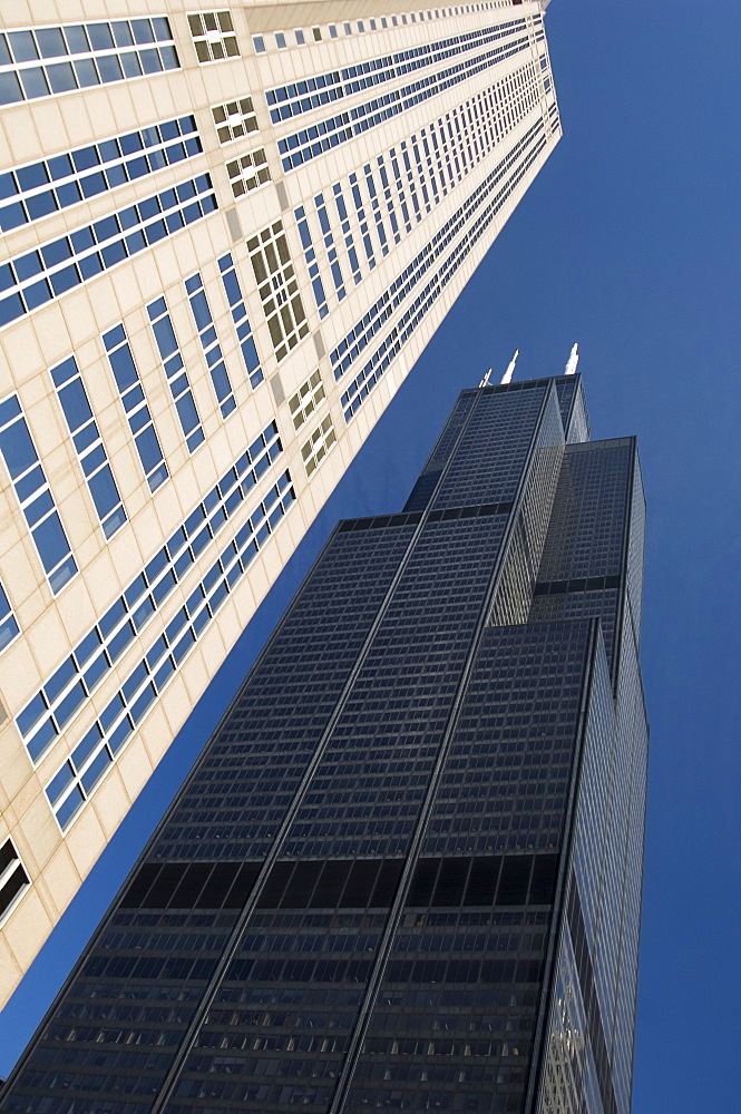 Sears Tower in Chicago Illinois USA