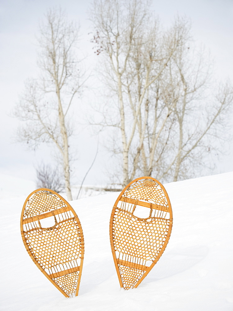 Snow shoes stuck in snow