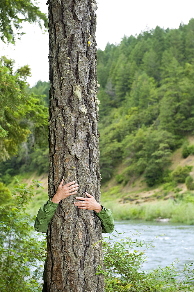 Hiker hugging tree