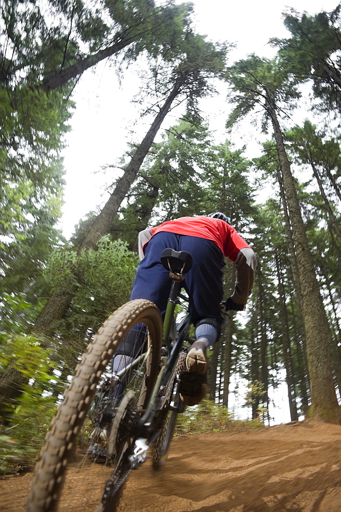 Mountain bikers riding in forest