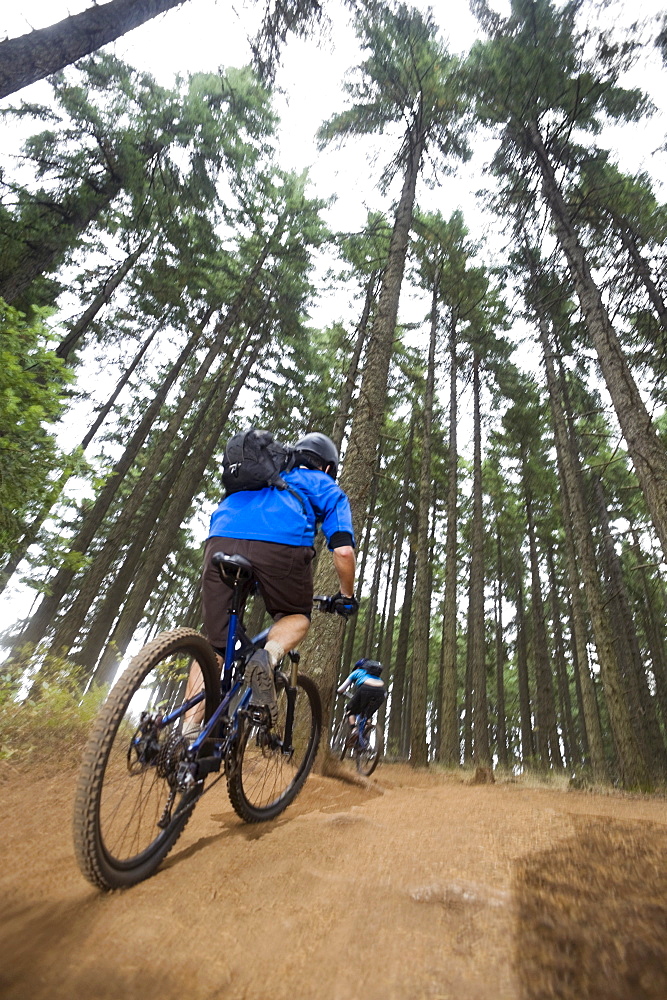 Mountain bikers riding in forest