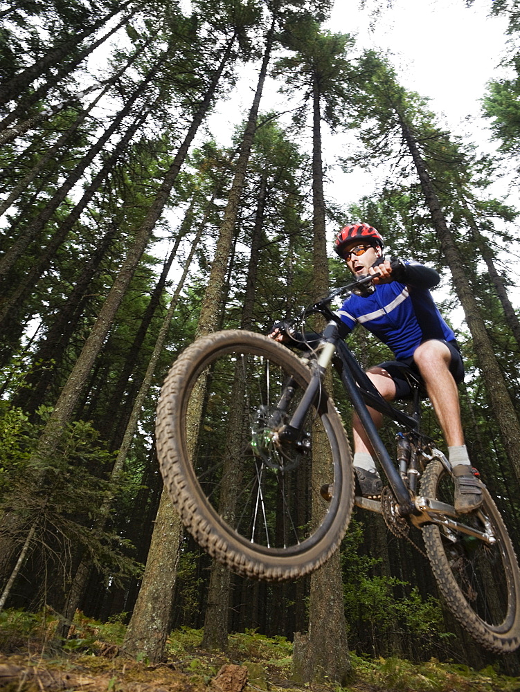 Mountain biker in mid-air on forest trail