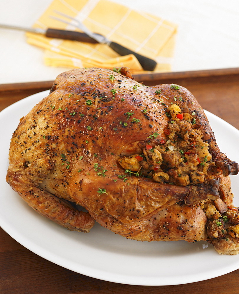 Close up of Thanksgiving turkey on table